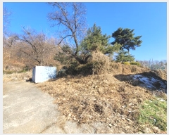  2024Ÿ��9279  �Ӿ߰��