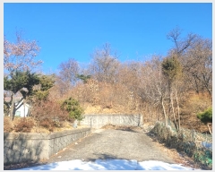  2024Ÿ��9279  �Ӿ߰��