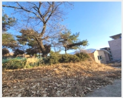  2024Ÿ��9279  �Ӿ߰��