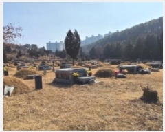  2024Ÿ��61130  �����