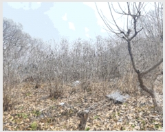  2024Ÿ��64801 ��� ����� �ϻ굿�� ǳ�� 111-3      �ٸ��ü�,�󰡰��