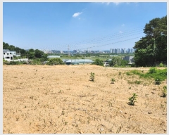  2024Ÿ��70073 ��� ���ֽ� �������� 157-3       ����(��1)���