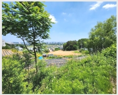  2024Ÿ��70073 ��� ���ֽ� �������� 157-3       ����(��1)���