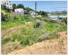  2024Ÿ��70073 ��� ���ֽ� �������� 157-3       ����(��1)���