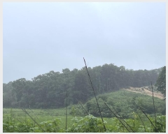  2024Ÿ��74303 ��� ���ֽ� ������ ������ 753-1      ����(�Ӿ�)���