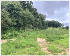  2024Ÿ��74303 ��� ���ֽ� ������ ������ 753-1      ����(�Ӿ�)���