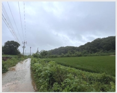  2024Ÿ��74303 ��� ���ֽ� ������ ������ 753-1      ����(�Ӿ�)���