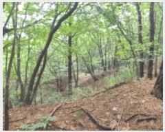  2024Ÿ��74303 ��� ���ֽ� ������ ������ 753-1      ����(�Ӿ�)���