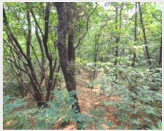  2024Ÿ��74303 ��� ���ֽ� ������ ������ 753-1      ����(�Ӿ�)���