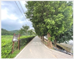  2024Ÿ��76125  ��õ���