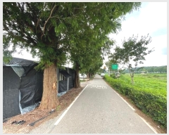  2024Ÿ��76125  ��õ���