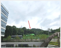  2024Ÿ��79599  �Ӿ߰��