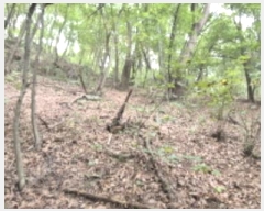  2024Ÿ��79599  �Ӿ߰��