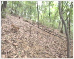  2024Ÿ��79599  �Ӿ߰��