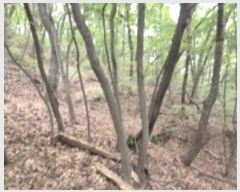  2024Ÿ��79599  �Ӿ߰��