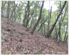  2024Ÿ��79599  �Ӿ߰��