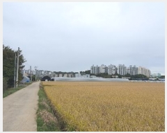  2024Ÿ��81899  ����