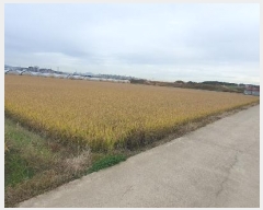  2024Ÿ��81899  ����