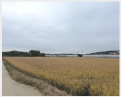  2024Ÿ��81899  ����