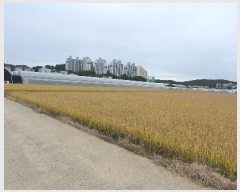  2024Ÿ��81899  ����