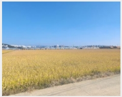  2024Ÿ��81899  ����