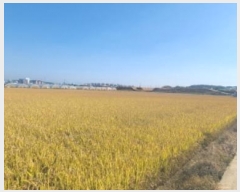  2024Ÿ��81899  ����