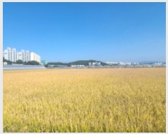  2024Ÿ��81899  ����