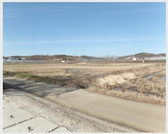  2024Ÿ��85013 ��� ���ֽ� ź���� ������ 1835      ����(��)���