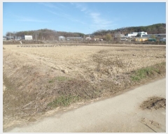  2024Ÿ��85013 ��� ���ֽ� ź���� ������ 1835      ����(��)���