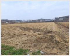  2024Ÿ��85013 ��� ���ֽ� ź���� ������ 1835      ����(��)���