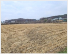  2024Ÿ��85013 ��� ���ֽ� ź���� ������ 1835      ����(��)���