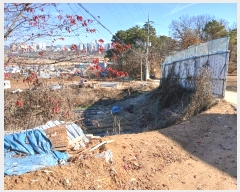  2024Ÿ85624  ֽ  160-32       (Ӿ)