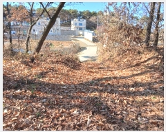  2024Ÿ85624  ֽ  160-32       (Ӿ)