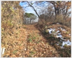  2024Ÿ85624  ֽ  160-32       (Ӿ)