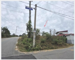  2024Ÿ7419  ֽ  ߸ 197-2      ()