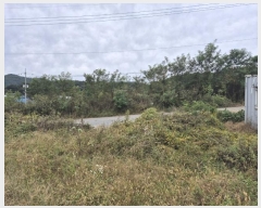  2024Ÿ7419  ֽ  ߸ 197-2      ()