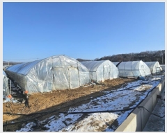  2024Ÿ��9187 ��� ����� ���籸 ���굿 802-4      ����(��)���