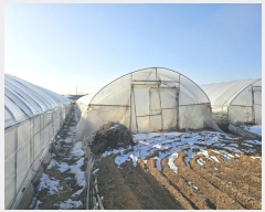  2024Ÿ��9187 ��� ����� ���籸 ���굿 802-4      ����(��)���