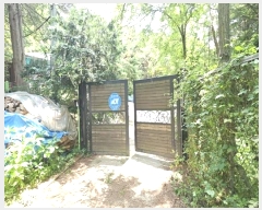  2024Ÿ65194  ֽ   49-16      (Ӿ)