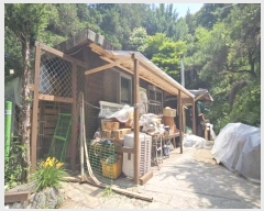  2024Ÿ65194  ֽ   49-16      (Ӿ)