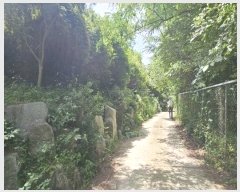  2024Ÿ65194  ֽ   49-16      (Ӿ)