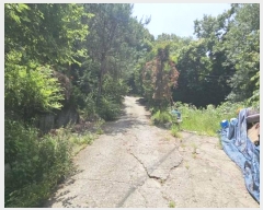  2024Ÿ65194  ֽ   49-16      (Ӿ)