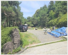  2024Ÿ65194  ֽ   49-16      (Ӿ)