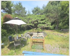  2024Ÿ65194  ֽ   49-16      (Ӿ)