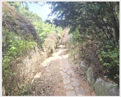  2024Ÿ65194  ֽ   49-16      (Ӿ)