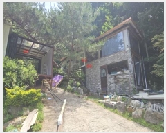  2024Ÿ65194  ֽ   49-16      (Ӿ)