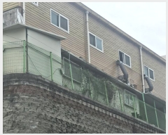  2024Ÿ��67749 ��� ���ֽ� ���ո� ������ 1038      �ٸ��ü�,�󰡰��