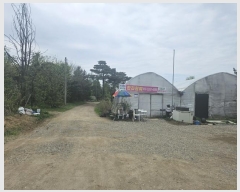  2024Ÿ��68148 ��� ����� ���籸 �ֱ��� 666      ����(��)���