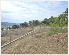  2024Ÿ��68148 ��� ����� ���籸 �ֱ��� 666      ����(��)���