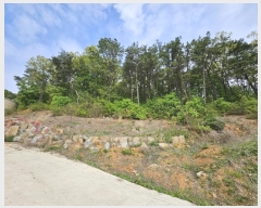  2024Ÿ��68148 ��� ����� ���籸 �ֱ��� 666      ����(��)���